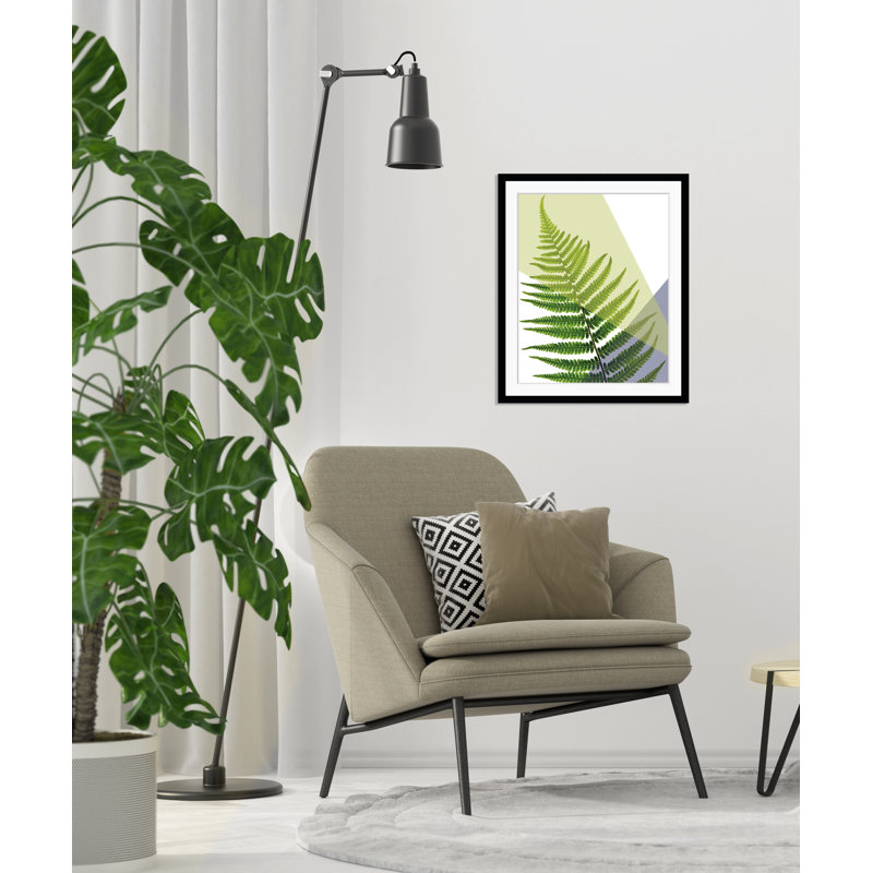 Ferns - Single Picture Frame Print, 60 cm H x 50 cm W x 5 cm D