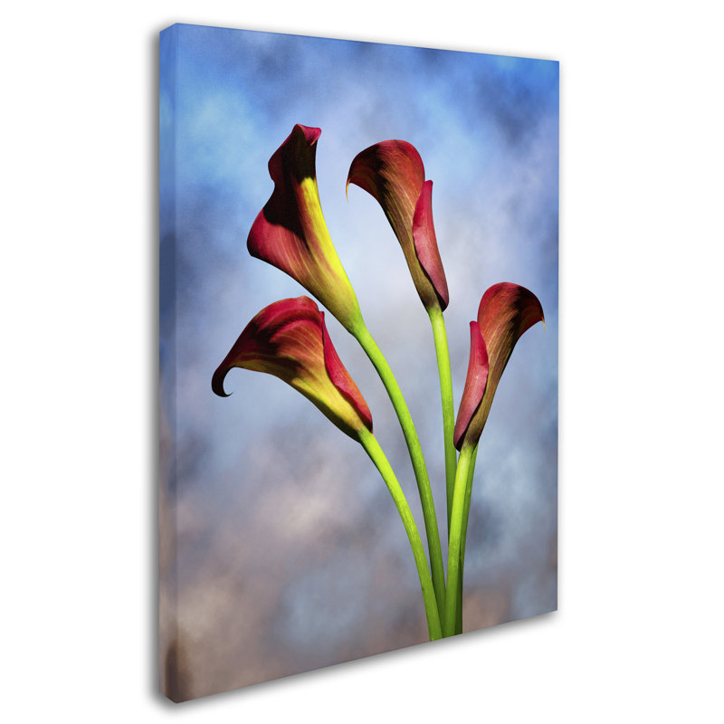 Impression sur toile tendue «Kieninger 6» par Kieninger, H 24 po x l 18 po x P 2 po