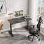 Metal Base Computer Desk-1707637073