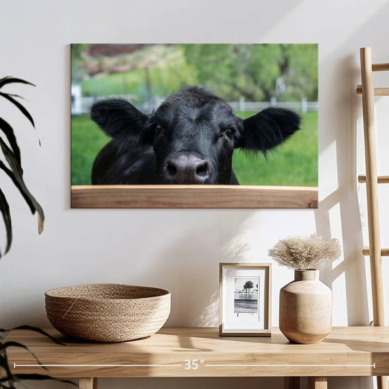 Brampt Nosy Ranch Cow, H 16 po x l 24 po