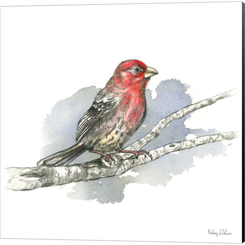 Oiseaux et branches par Kelsey Wilson, art sur toile (ensemble de 4)