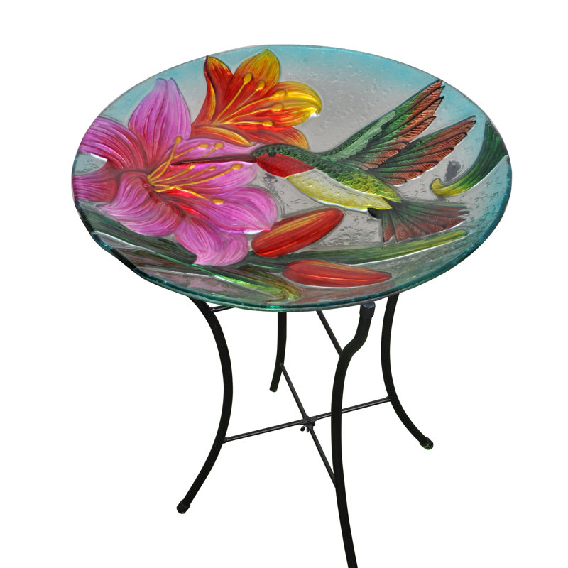 Liviana Outdoor Glass Hummingbird Birdbath