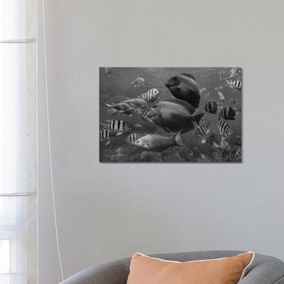 Butterflyfish, Damselfish, Sergeant Major Damselfish, Ray-finned Fish, And Wrasse School, Philippines by Tim Fitzharris - Wrapped Canvas Gallery-Wrapped Canvas Giclée