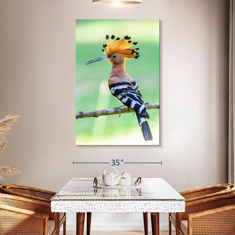 Brampt Common Hoopoe, 51" H x 34" W