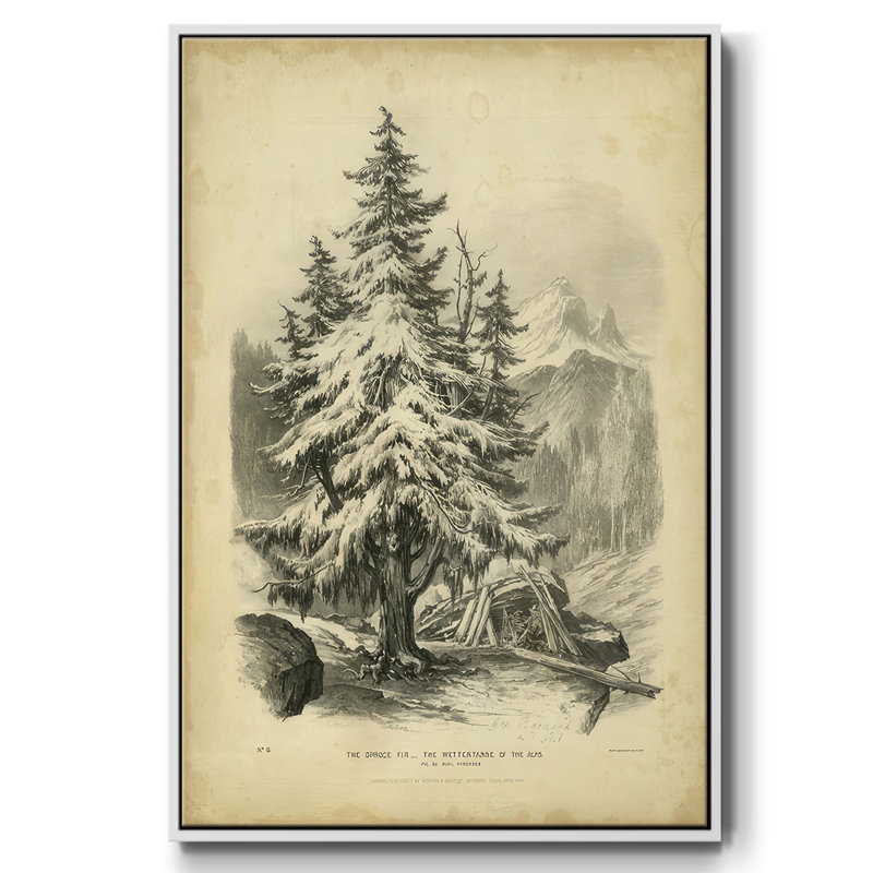 The Spruce, reproduction d'art sur toile, Cadre flottant blanc, H 41 po x l 27 po x P 1,5 po