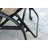 Frazee Powder Coated Aluminum Outdoor Lounge Chair with Cushions