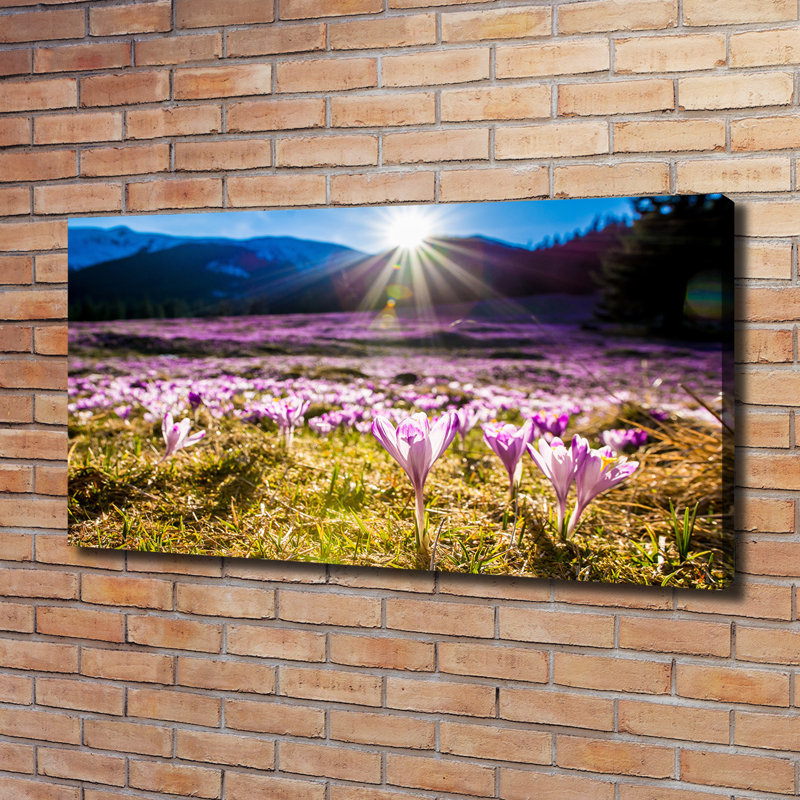 Crocuses In The Clearing - Wrapped Canvas Print