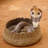 Cobra Snake in Basket by Mseidelch-1758415329