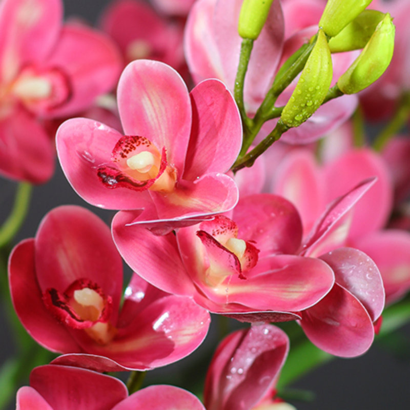 Simulations de décorations florales pour le salon