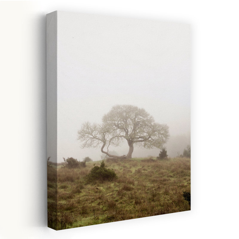 Oak Tree #26 - Photography Art, 48" H x 32" W