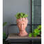 Pot à fleurs brun en ciment-270957829