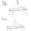 Table basse Glam Contemporary 1pc