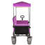 Chariot convertible pour chariot pliant avec auvent-125205272