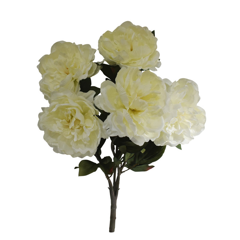 Grand buisson de pivoines 21 po - 5 têtes, Crème, crème