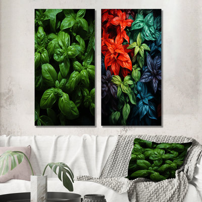 Herbs Basil Vibrance IV - Herbs Wall Art Prints Set Of 2
