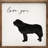 Love You Saint Bernard White-603376746