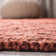 Jakwan Handmade Flatweave Jute Rust Area Rug
