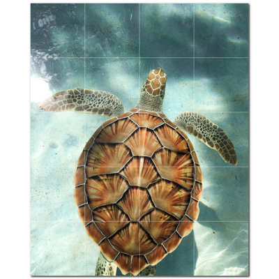 Tortue photo 6 x 6