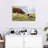 Brampt Border Collie And Cow-107707390