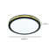 Dhirren LED Flush Mount