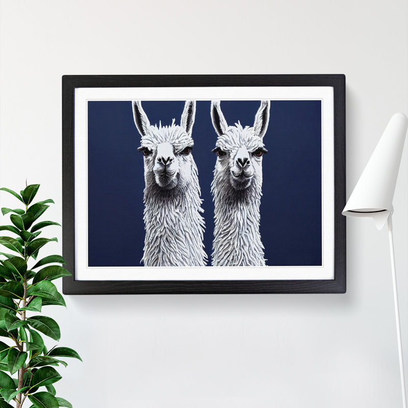 XH1022-9016X The Two Llamas Vol.2 - Single Picture Frame Print, 46cm H x 64cm W x 2cm D, Black Framed