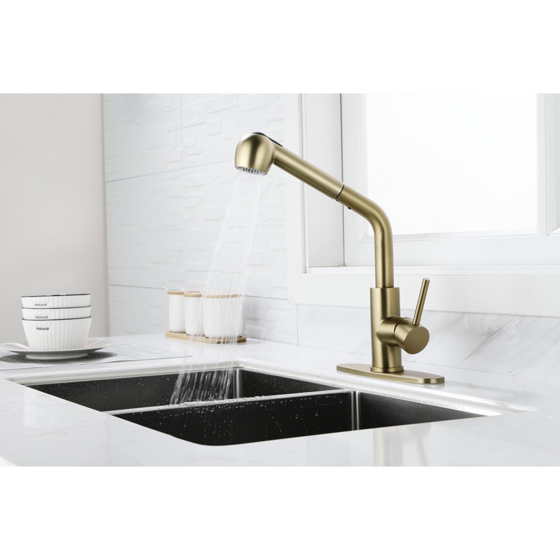 Stainless Steel Gold Kitchen Tap With Dual Spray - Easy Installation Process For Diy Enthusiasts Single Level Faucet In And 360 Degree Swivel Comprehensive Washing