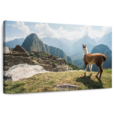 Rama lama et Machu Picchu