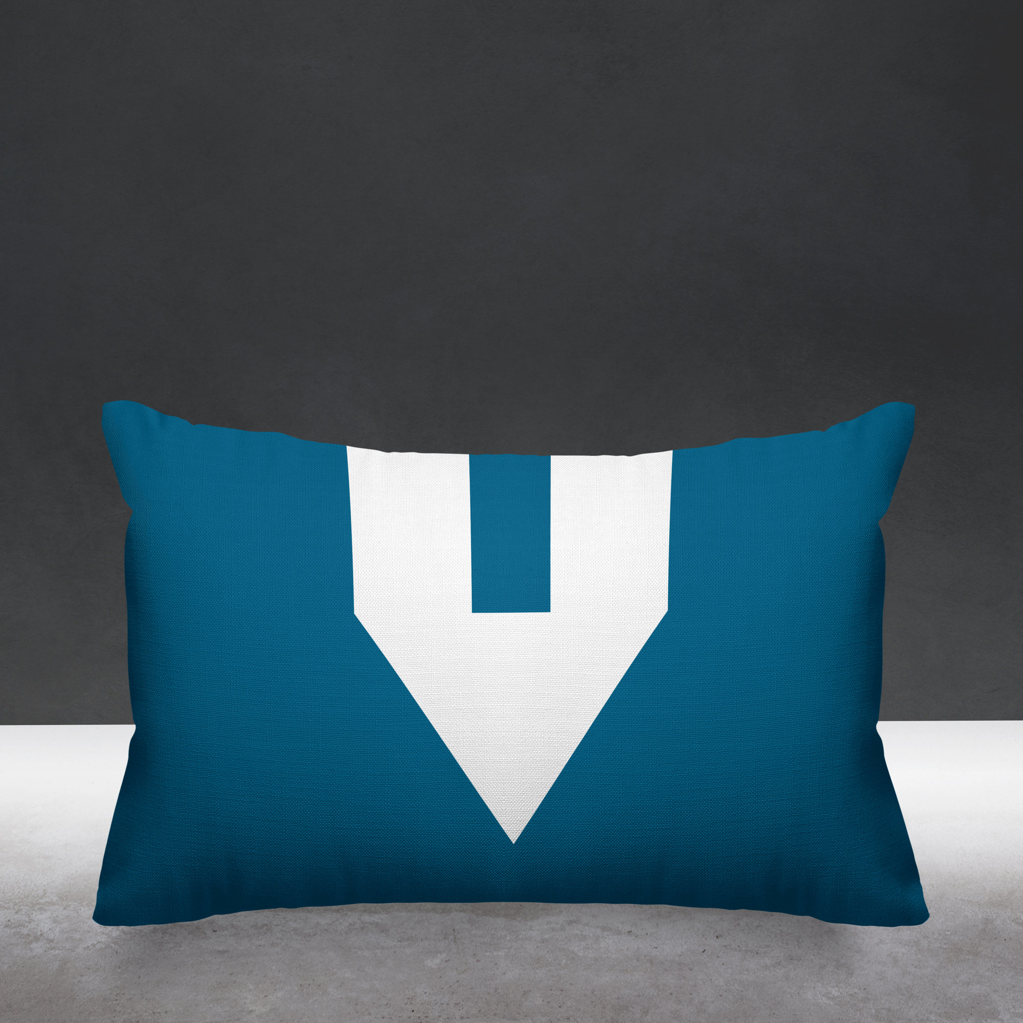 Luella Geometric Indoor/Outdoor Lumbar Throw Pillow, Turquoise