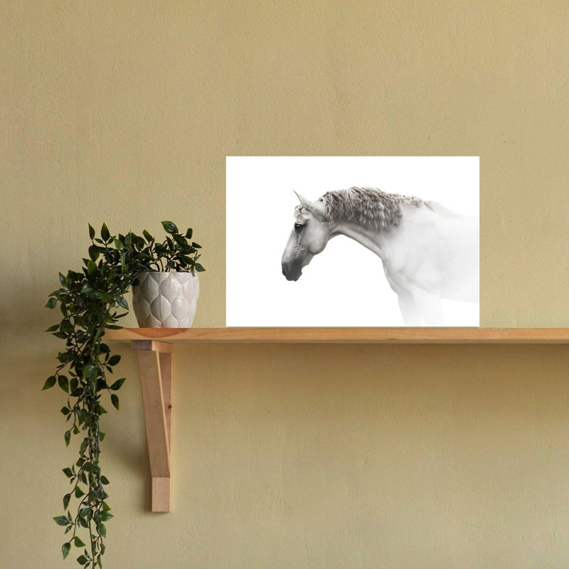 Print, 40.64cm H x 60.96cm W