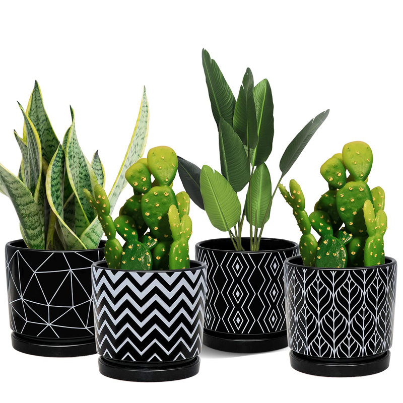 Set of 4 White Ceramic Planters with Drainage Holes