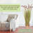 47.24'' Reed Grass Plant
