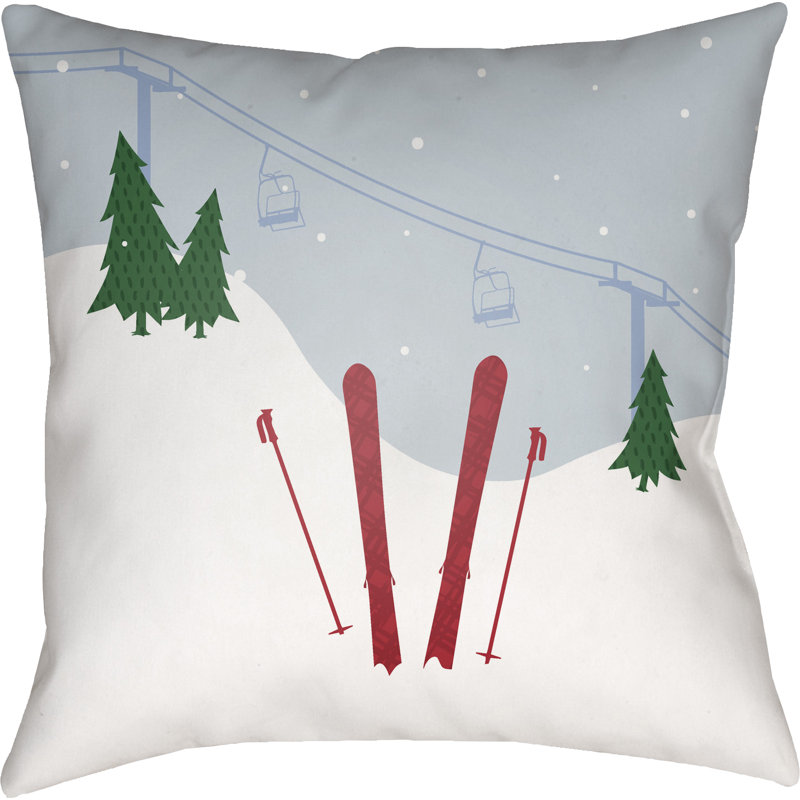  Indoor/Outdoor Throw Pillow, 20" H x 20" W x 4" D