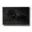 " Onyx " by PhotoINC Studio-1289839950