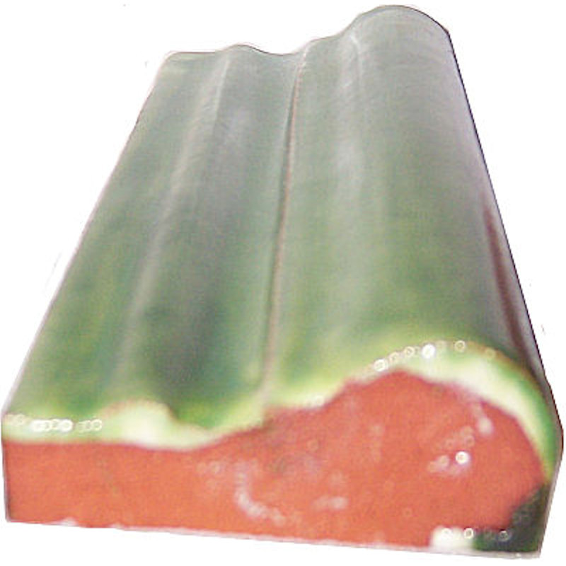 2" 5pcs TalaMex Mexican Chair Rail Molding, 2" W x 4.25" L, Green