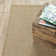 Eliana Machine Woven Indoor / Outdoor Area Rug