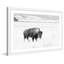 Single Picture Frame Painting-19492229
