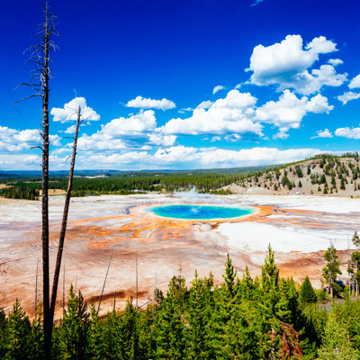 Yellowstone Grand Prismatic Spring by Ferrantraite - Wrapped Canvas Print