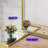 Metal Rectangle Mirror-1301543975-1304709838