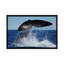 «Southern Right Whale Tail Slap, Peninsule Valdez, Argentine II», reproduction de photo sur toile-72119192-72119191