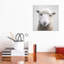 «Sheep» - reproduction de photo-52366826-52366834