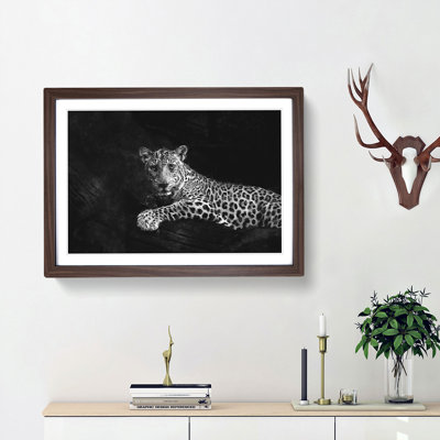 Leopard - Picture Frame Graphic Art Print