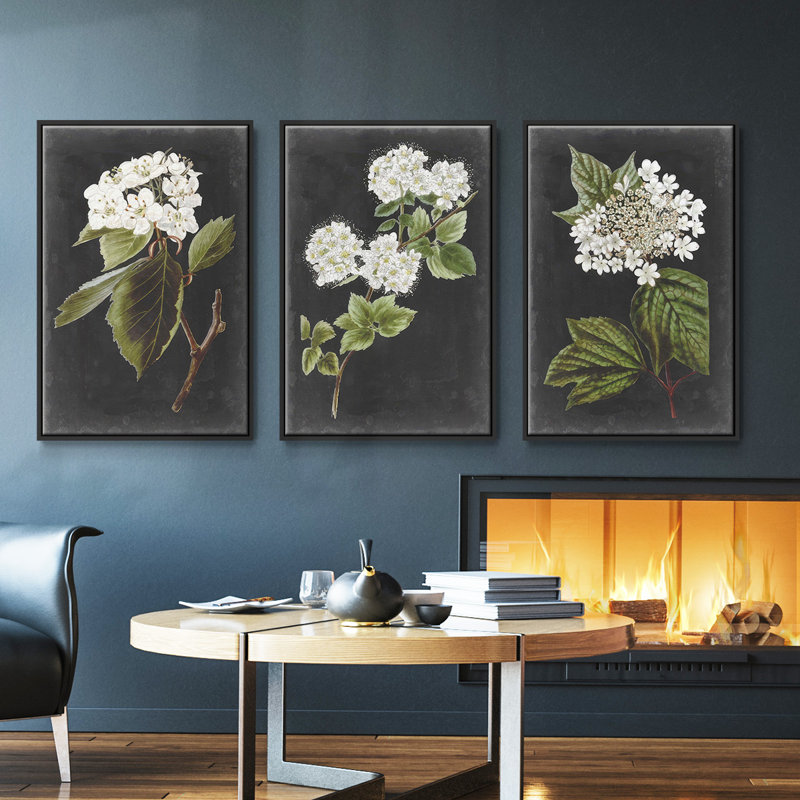 Ensemble de 3 toiles tendues à motif de botanique antique, Noir, H 36 po x l 72 po