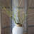 30.7'' Faux Bamboo Branch in Glass Vase