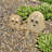 Stone Age Creations 8" Boulder Cat
