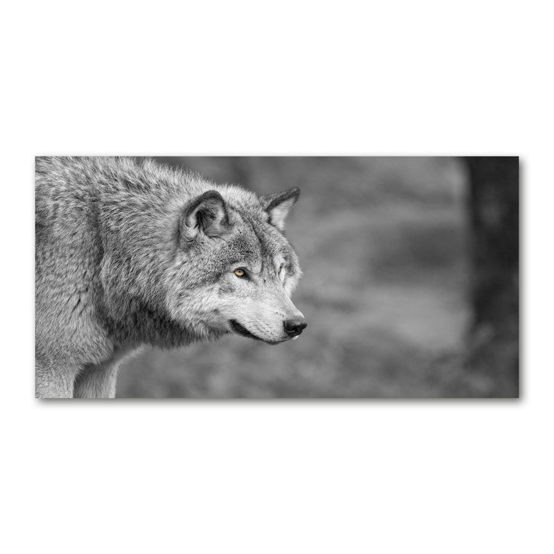 Gray Wolf - Wrapped Canvas Print
