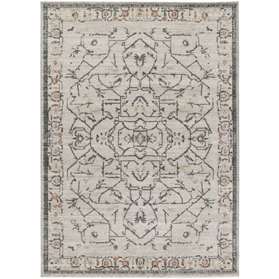 Litzy Moroccan Area Rug