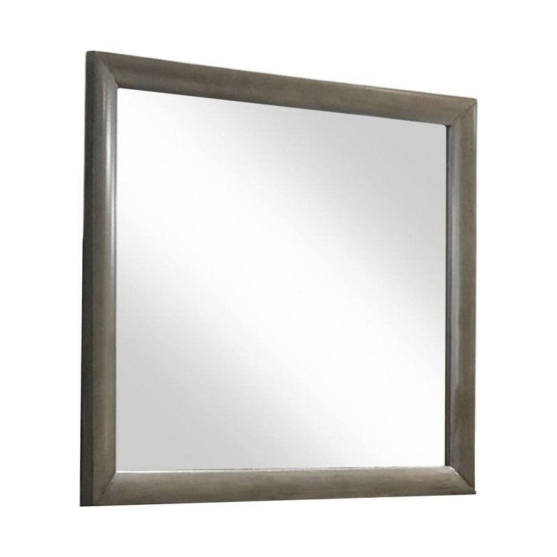 Miroir transitionnel l 39,9 po, gris, Gris
