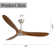 Outdoor Ceiling Fan Without Light 3 Abs Blade With Smart App Control