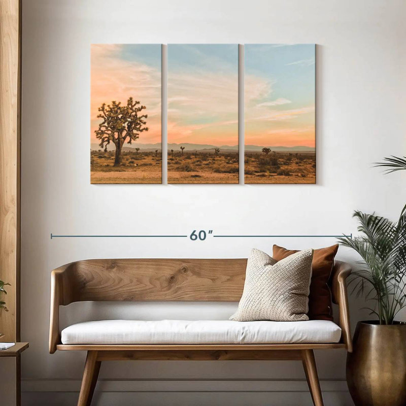 Paysage désertique d'Alvord, H 28 po x l 45 po