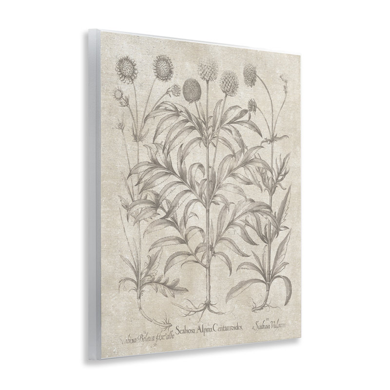 Art rétro sur plaque par Planted